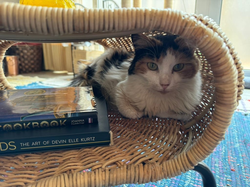 Taxonomies, Ontologies and Knowledge Graphs: a primer