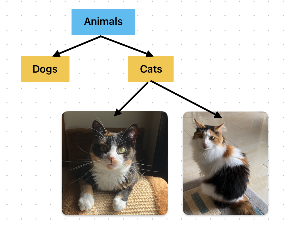 Taxonomies, Ontologies and Knowledge Graphs: a primer